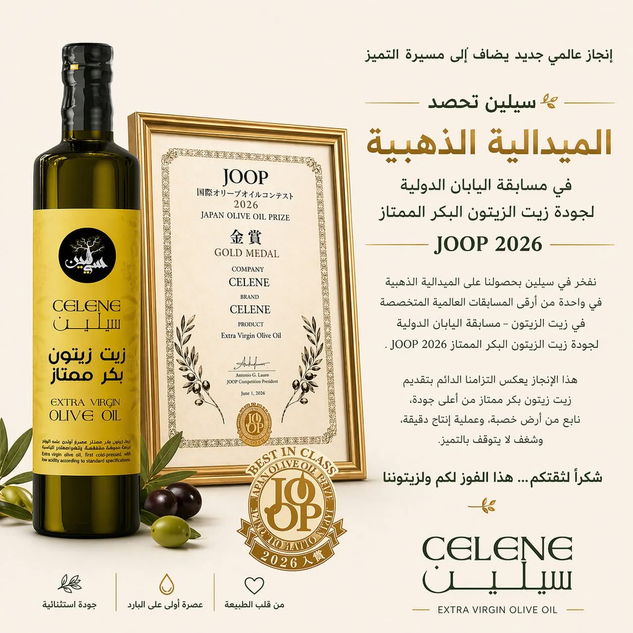 تتويج زيت الزيتون الليبي في مسابقة دولية في اليابان