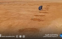 زراعة 1800 شتلة لتعزيزِ الغطاء النباتي وتوفير الظل للمسافرين في الصحراء