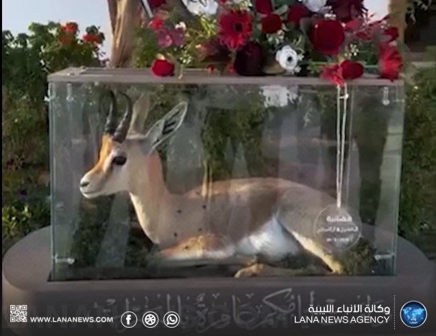 هدية حفل زفاف تثير انتقادات واسعة في ليبيا