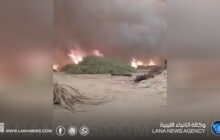 عاصفة ترابية تتسبب في اندلاع حرائق بمزارع تازربو