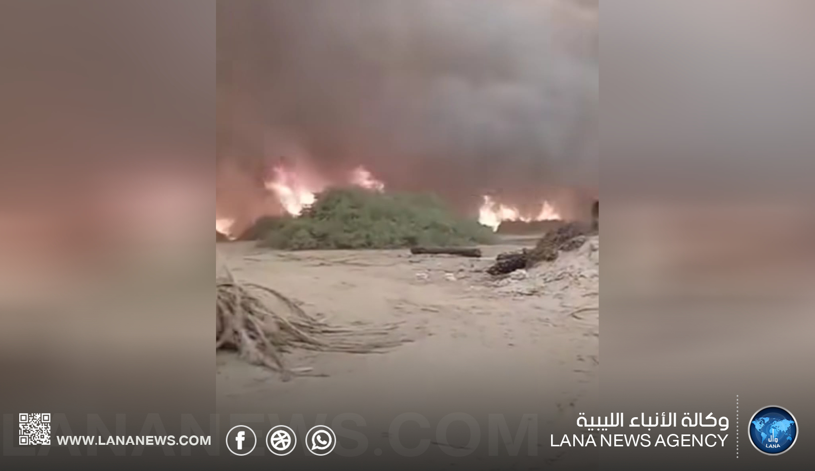 عاصفة ترابية تتسبب في اندلاع حرائق بمزارع تازربو