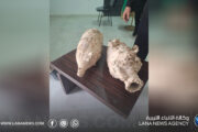 العثور على جرتين فخاريتين يشتبه أثريتهما بسواحل طرابلس