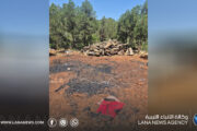 ضبط انتهاكات بيئية وزراعية شمال مدينة البيضاء 
