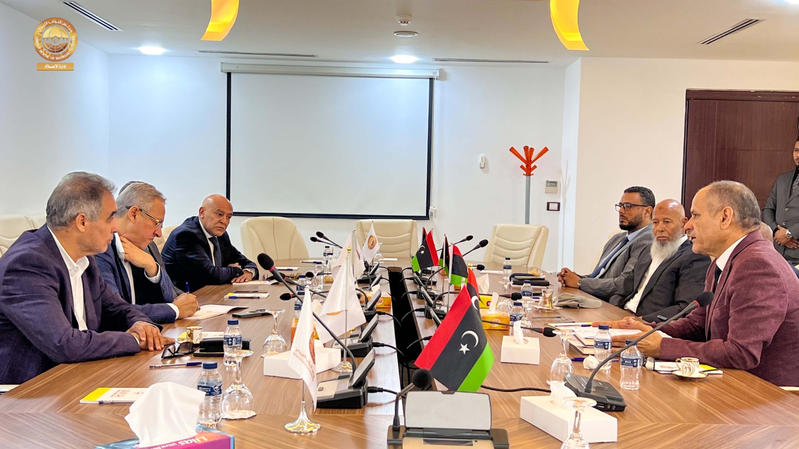 مجلسي النواب والدولة يناقشان تأسيس صندوق ليبيا للتنمية الصناعية