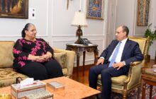 تنسيق أممي مصري بالقاهرة لدفع العملية السياسية في ليبيا
