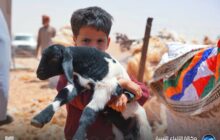 حين يتحول موسم الجلامة لعرس بدوي يحفظ ذاكرة البادية الليبية