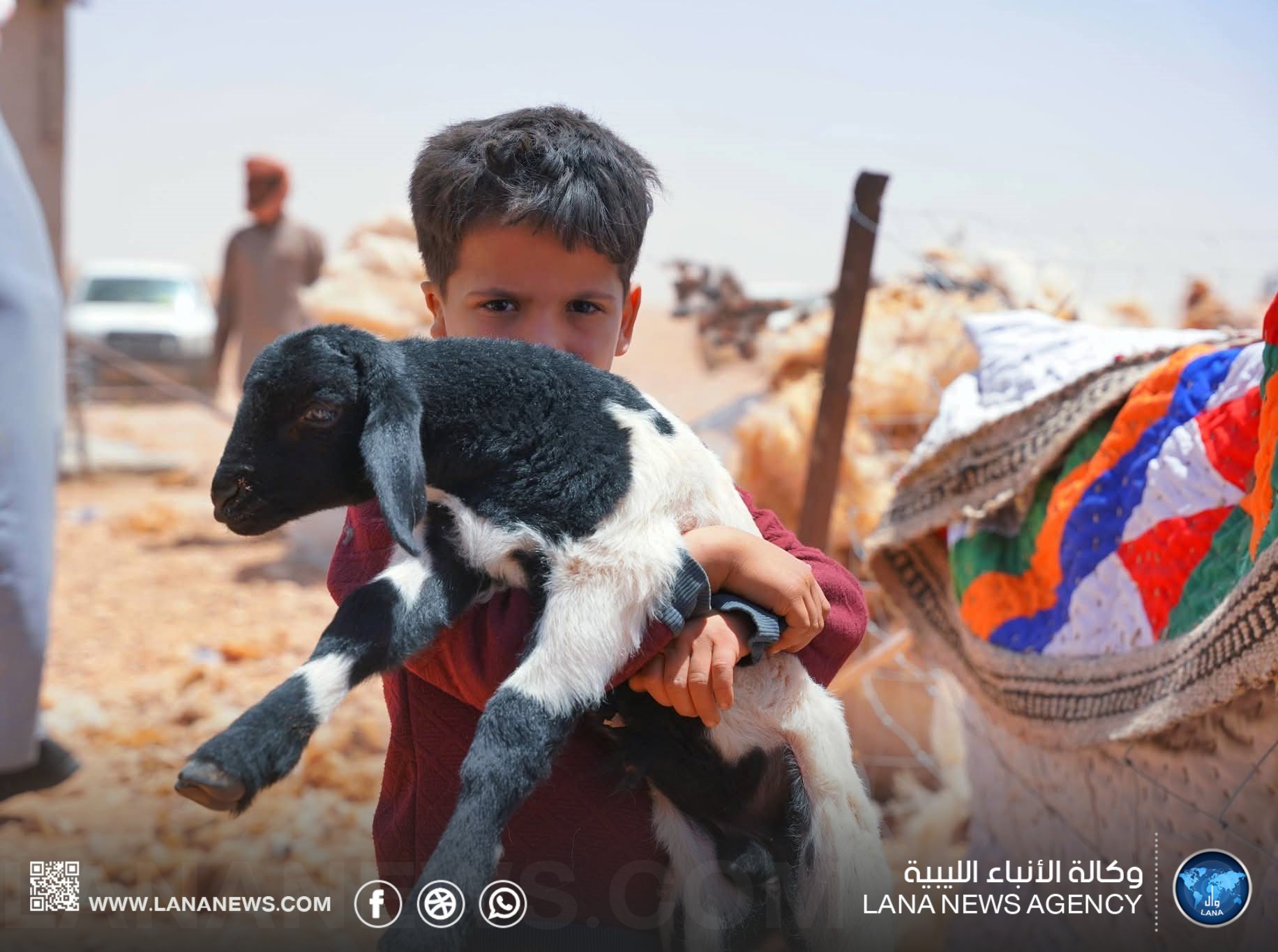 موسم الجلامة - عرس سنوي يحفظ ذاكرة البادية الليبية