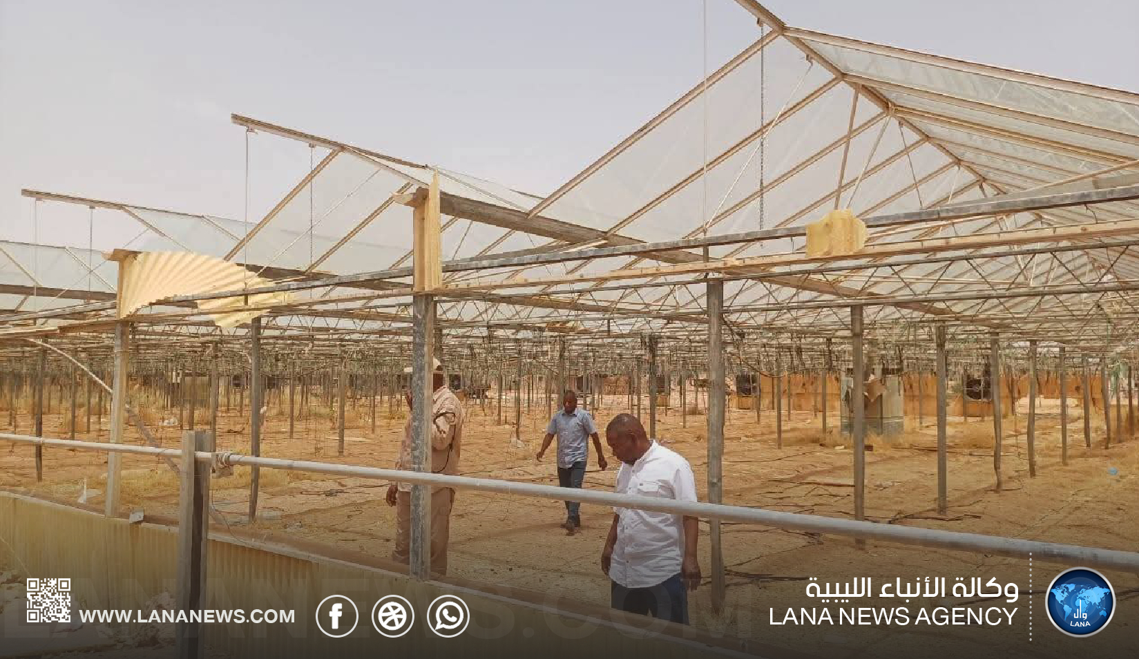 قطاع الزراعة بتراغن يخطط لإعادة تشغيل الصوبات الزراعية