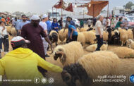 ركود في أسواق الأضاحي بالجبل الأخضر بسبب ارتفاع التكاليف
