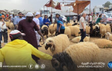 ركود في أسواق الأضاحي بالجبل الأخضر بسبب ارتفاع التكاليف