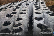 الجبل الأخضر.. كنز ليبيا الطبيعي تحت تهديد النار والفحم