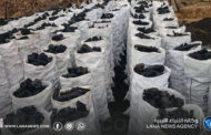 الجبل الأخضر.. كنز ليبيا الطبيعي تحت تهديد النار والفحم