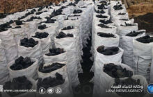 الجبل الأخضر.. كنز ليبيا الطبيعي تحت تهديد النار والفحم