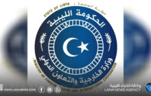 الخارجية تؤكد دعم قافلة الصمود 2 مع الالتزام بضوابط العبور المصرية
