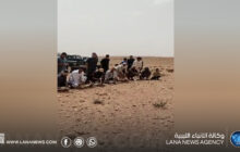 إطلاق 30 غزالًا ضِمن مُبادرة لتعزيزِ التنوع الحيوي في بني وليد
