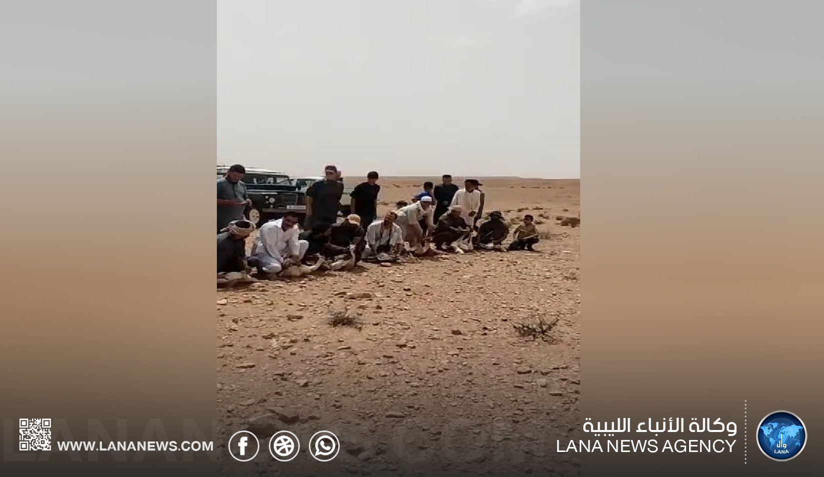 إطلاق 30 غزالًا ضِمن مُبادرة لتعزيزِ التنوع الحيوي في بني وليد