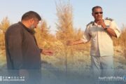 الشرطة الزراعية تطرح رؤية متكاملة لحماية الأمن الصحي والبيئي