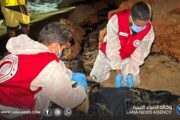 الإنقاذ البحري: ملف المتزلج الإيطالي المفقود في دريانة يدخل المسار الدبلوماسي