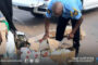 ضبط سبعة متهمين وإغلاق محال لبيع مبيدات محظورة في سبع بلديات بالجنوب