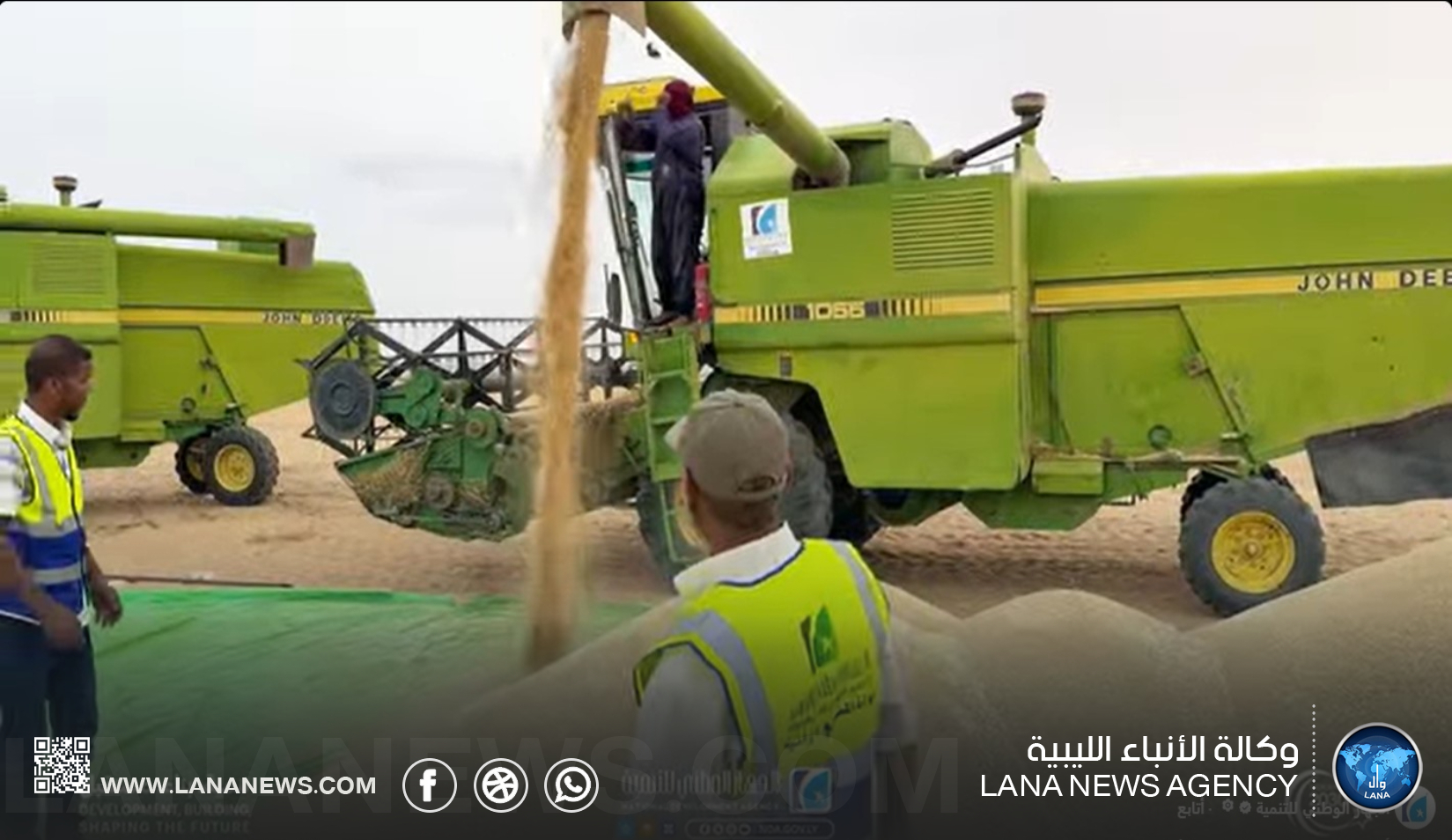 انطلاق حصاد القمح بمشروع الديسة الزراعي في أوباري بعد 15 عامًا