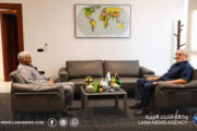 الشؤون الأفريقية والحكم المحلي تبحثان تطوير الخدمات وتعزيز دور البلديات