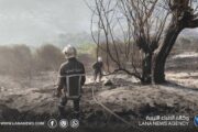 الجزائر تسجل عشرات الحرائق وتواصل جهود الإخماد والمراقبة
