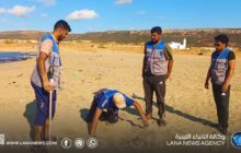 فرق بيئية ترصد تعشيش السلاحف البحرية بشواطئ الجبل الأخضر