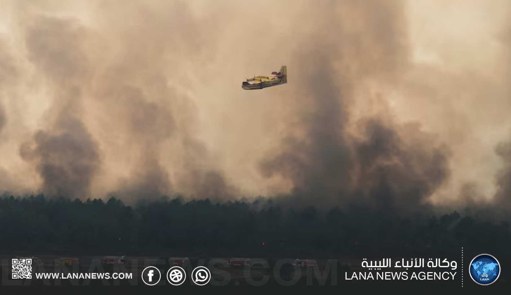 الاتحاد الأوروبي يدعو لتطوير منظومة مكافحة حرائق الغابات