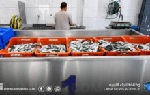 دراسة علمية تؤكد جودة الأسماك الليبية وسلامتها الغذائية
