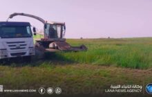 انطلاق الحصاد والتسميد بمشروع المزارع الكبيرة بالمنطقة الوسطى