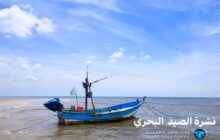 استقرار الأوضاع البحرية على طول ساحل البلاد