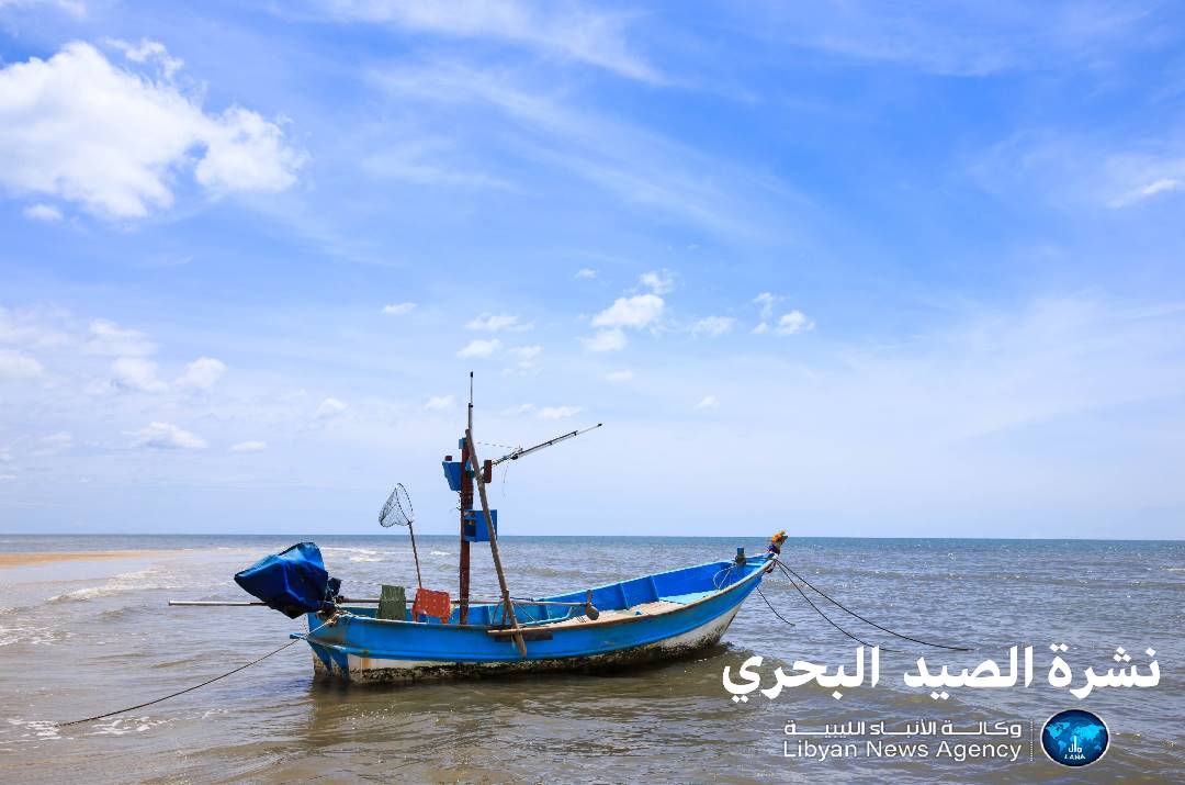 استقرار الأوضاع البحرية على طول ساحل البلاد