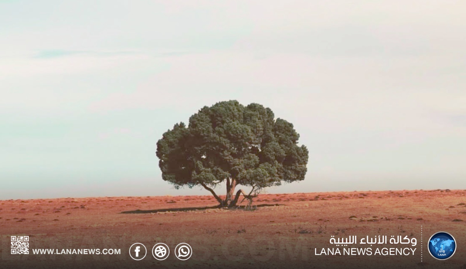 الغطاء النباتي في ليبيا تحت ضغط التصحر والتعديات والتغير المناخي