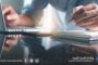 وزارة التربية والتعليم تبدأ تدريب أكثر من 5 آلاف متدرب عن بُعد