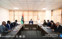 رئيس لجنة الخارجية يبحث مع وفد جنوب السودان تعزيز التعاون بين البلدين