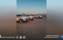 استمرار مكافحة الجراد الصحراوي في غات وسط محدودية الإمكانات