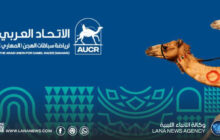 ليبيا تفوز بمنصب نائب أول رئيس الاتحاد العربي لسباقات المهاري