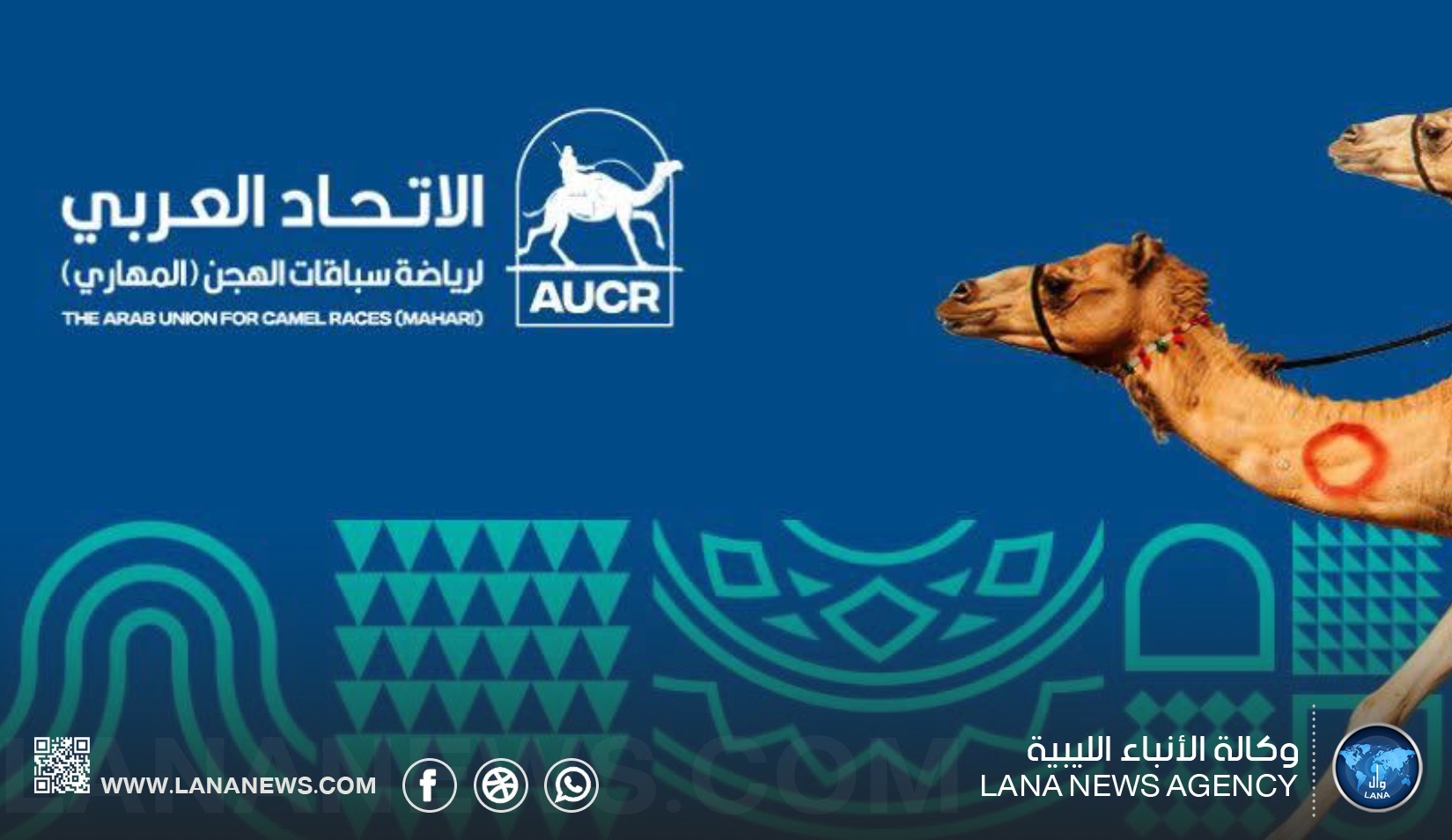 ليبيا تفوز بمنصب نائب أول رئيس الاتحاد العربي لسباقات المهاري