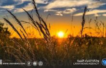 أجواء صيفية معتدلة على أغلب المناطق ودرجات الحرارة تصل إلى 41 درجة