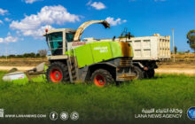 انطلاق حصاد الأعلاف الخضراء بمشروع المزارع الكبيرة في سرت