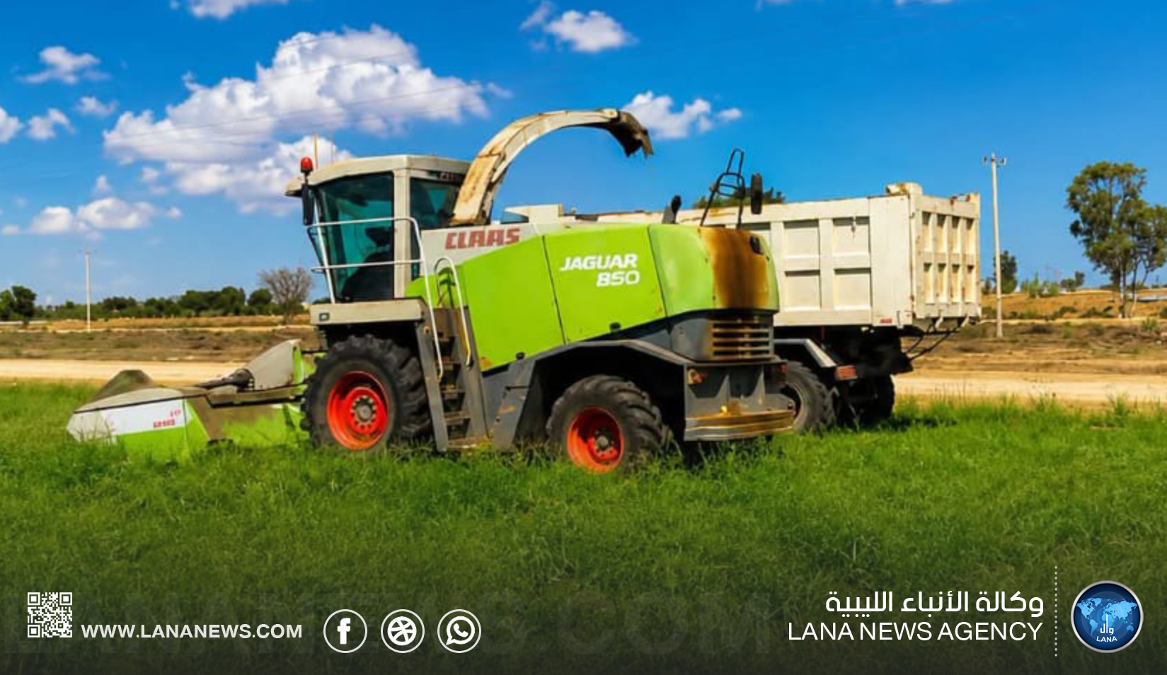 انطلاق حصاد الأعلاف الخضراء بمشروع المزارع الكبيرة في سرت