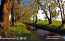 وزارة البيئة: جودة الهواء معتدلة ولا ارتفاع في ثاني أكسيد الكبريت