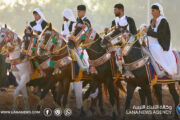 مهرجان لمة الفرسان بهراوة يحتفي بالموروث الشعبي والفروسية