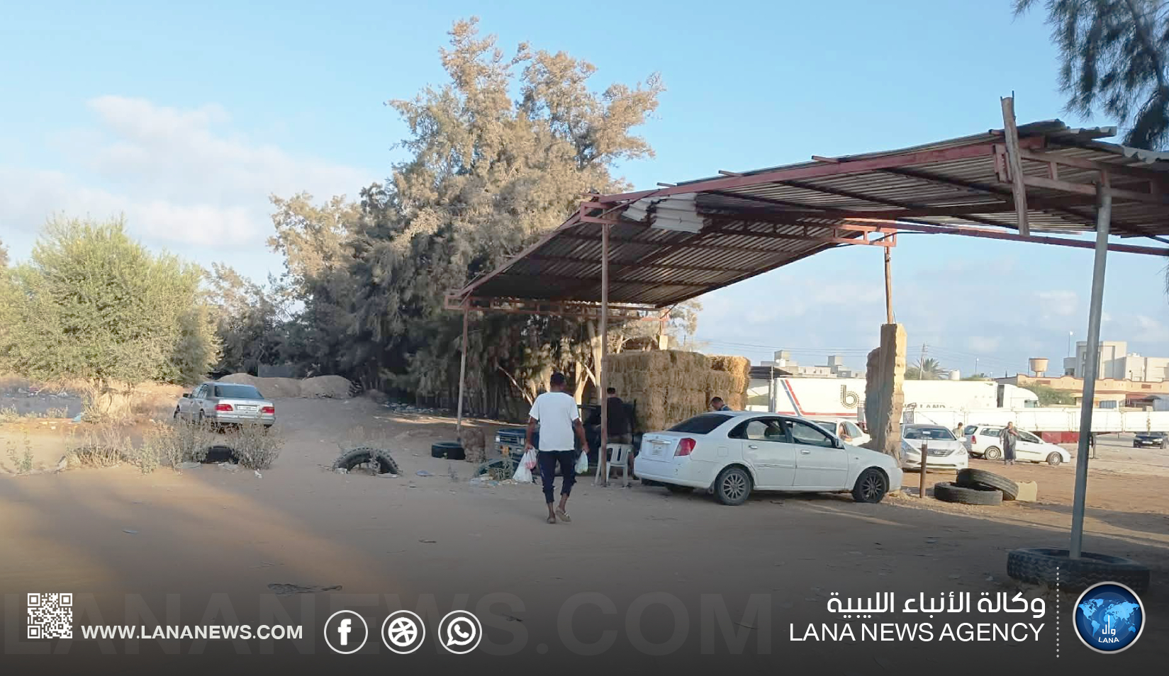 الشرطة الزراعية بالزاوية تتابع إغلاق سوق المواشي بأبي عيسى
