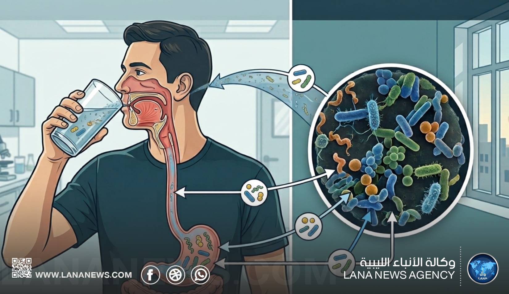 إيشيريشيا كولاي في مياه الشرب.. ماذا تقول النتائج؟