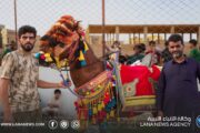 اختتام أول مهرجان لأجمل حصان بربري في البطنان
