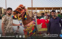اختتام أول مهرجان لأجمل حصان بربري في البطنان