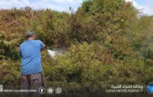 السيطرة على حريق اندلع في مزرعة بمنطقة دريانة