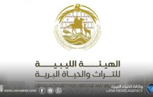 هيئة التراث والحياة البرية تشدد على منع تصوير عمليات الصيد