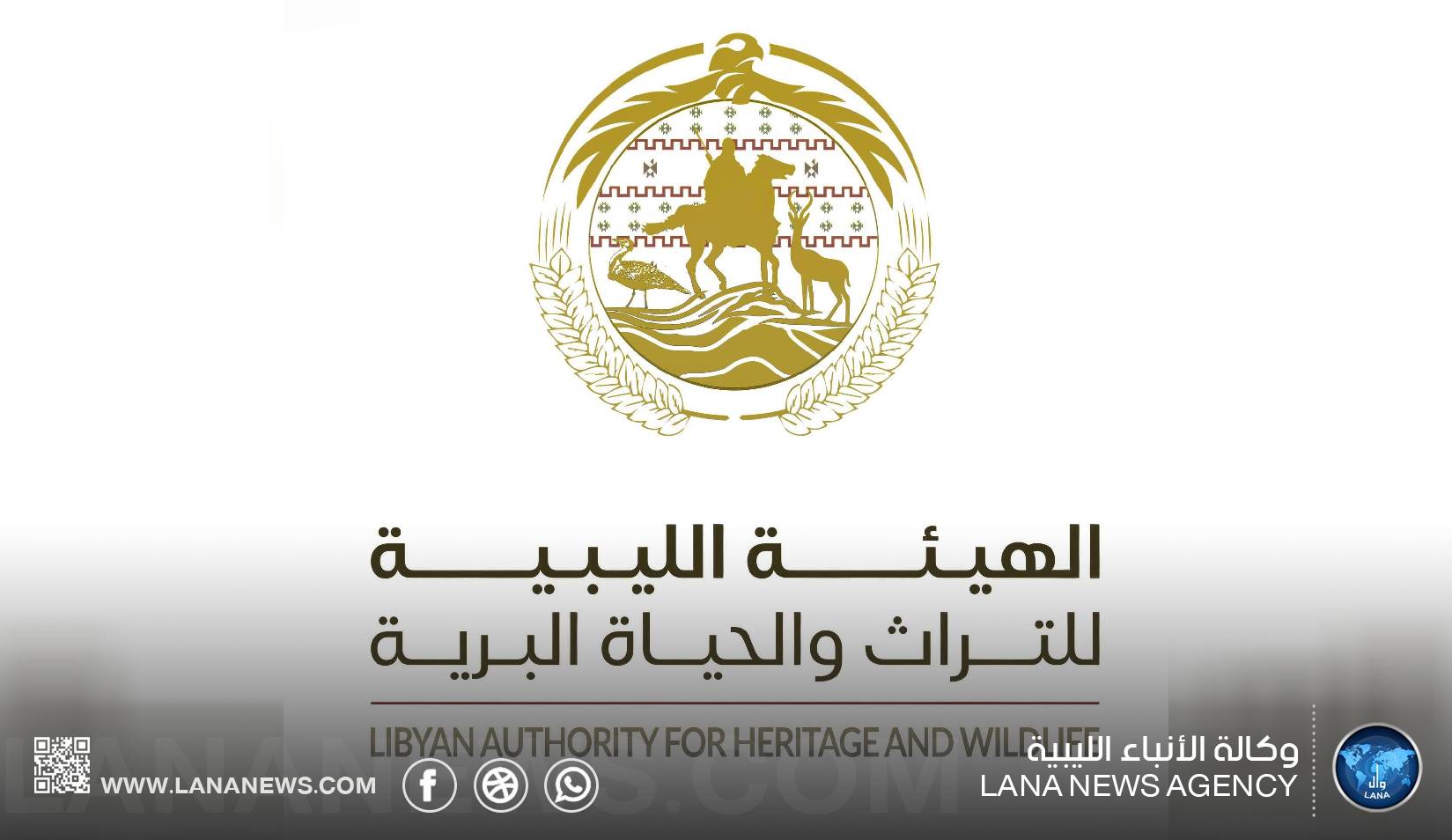 هيئة التراث والحياة البرية تشدد على منع تصوير عمليات الصيد